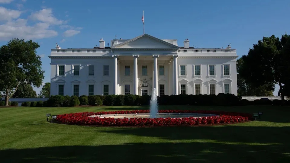 Two companies and one sector Team Trump could invest in next
